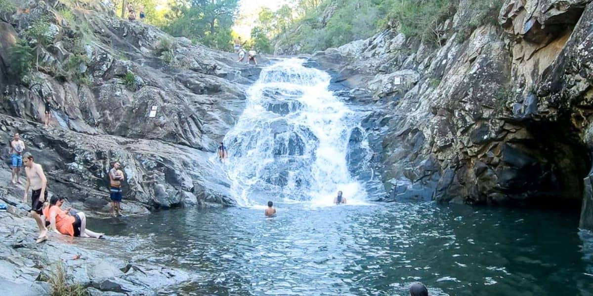 Best things to do in Mount Tamborine - Queensland Travel Guide