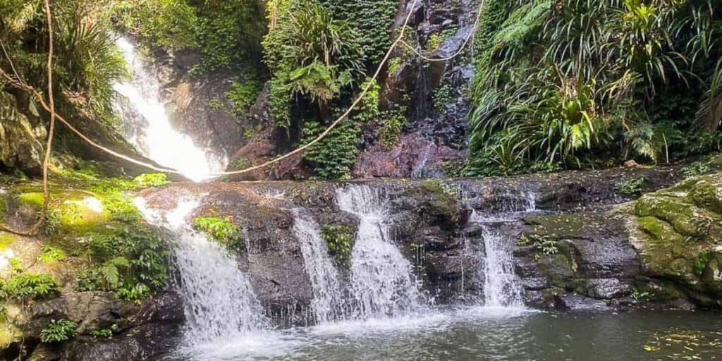 tourist attractions gold coast hinterland