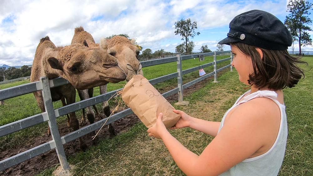 How to Cross the Street in Vietnam - Camels & Chocolate: Travel