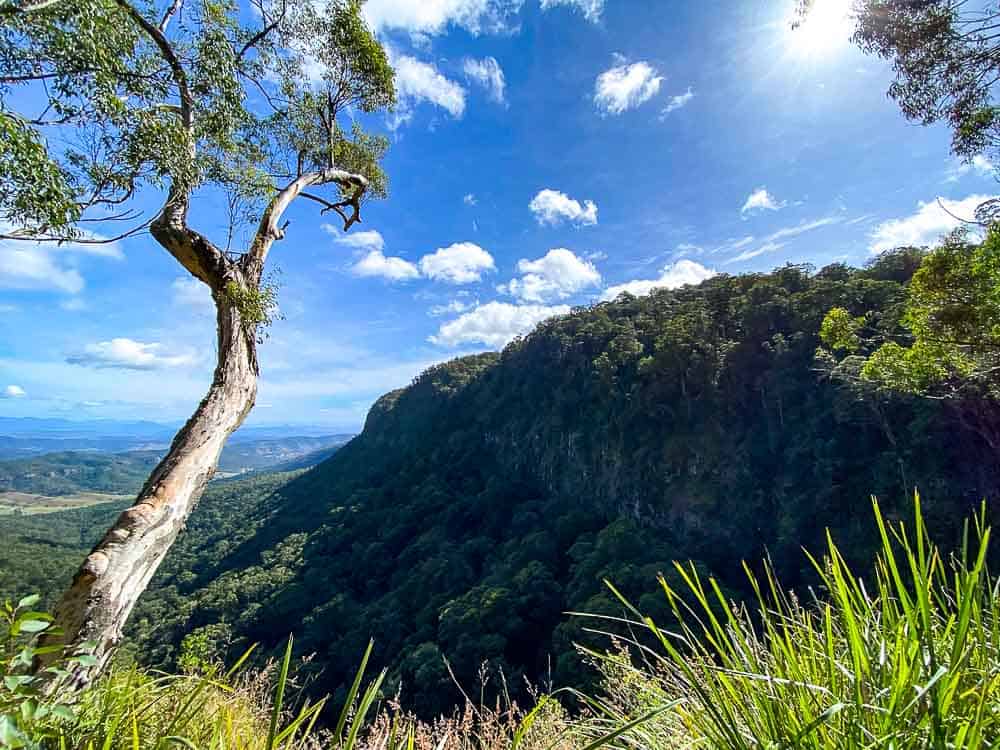 tourist attractions gold coast hinterland