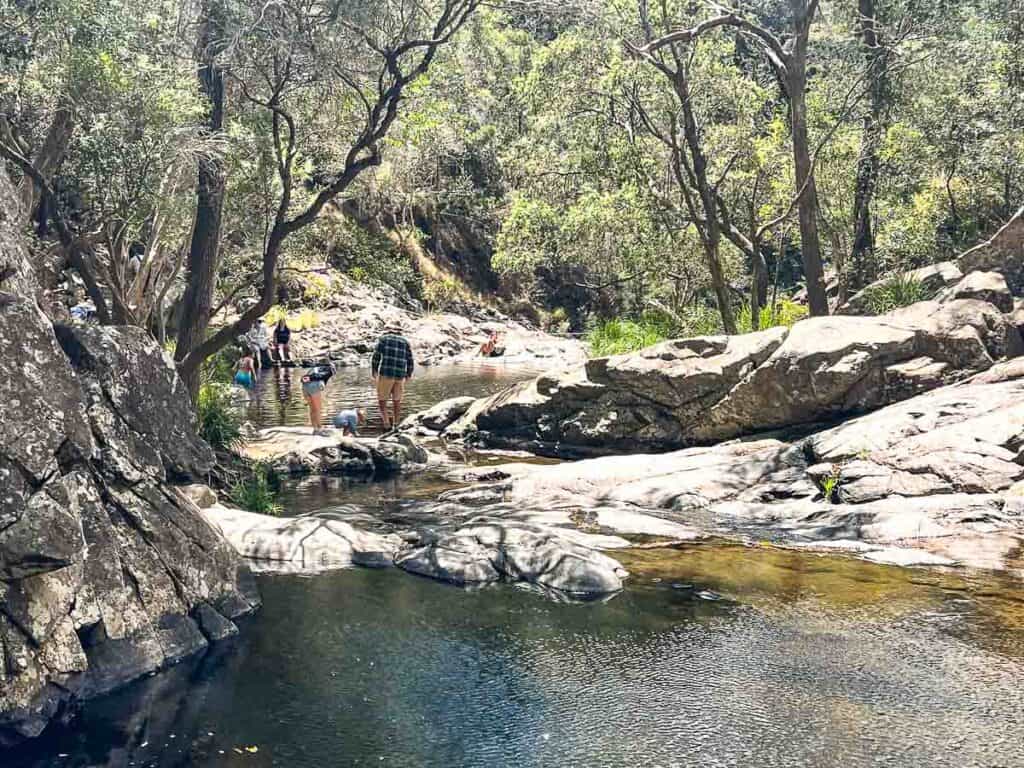 tourist attractions gold coast hinterland