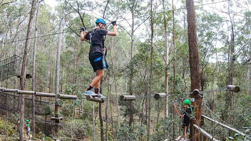 tourist attractions gold coast hinterland