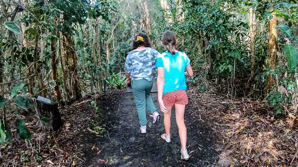 Arkarra Lagoons and Wetlands Reserve Hervey Bay