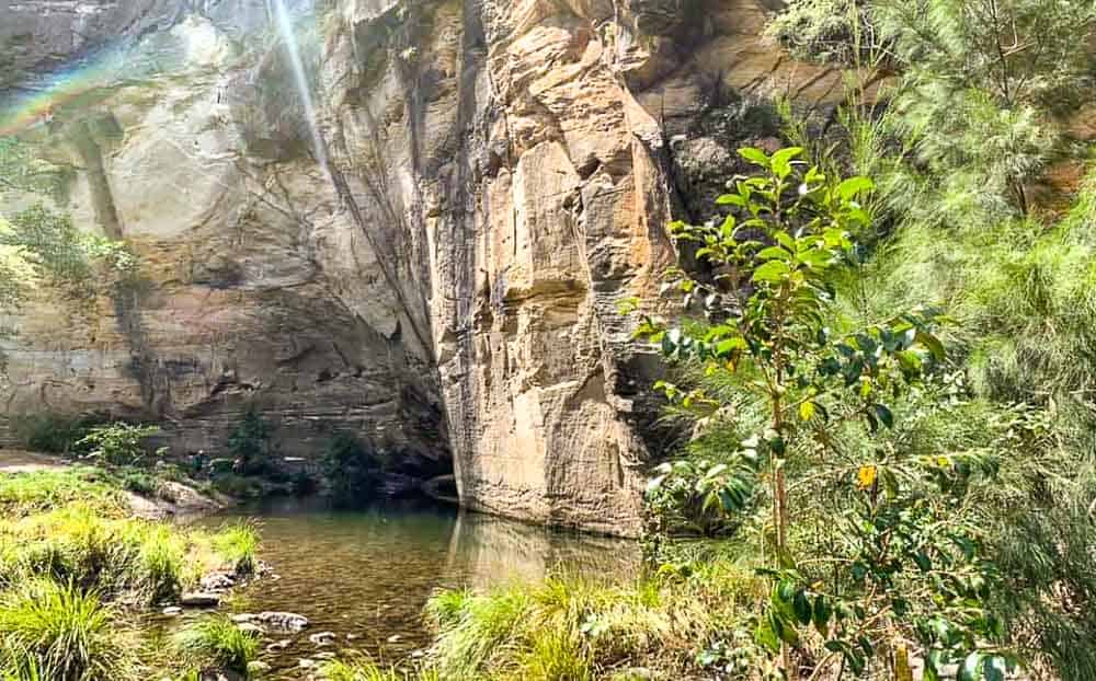 Carnarvon Gorge