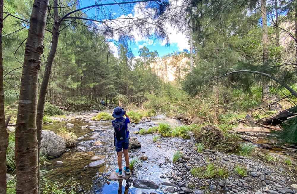 Carnarvon Gorge