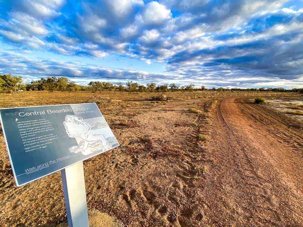 Take the Warrego River Walk Cunnamulla