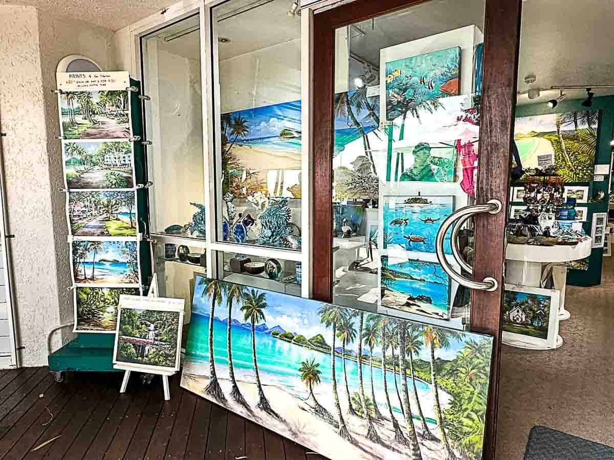 Best things to do in Palm Cove Queensland Travel Guide